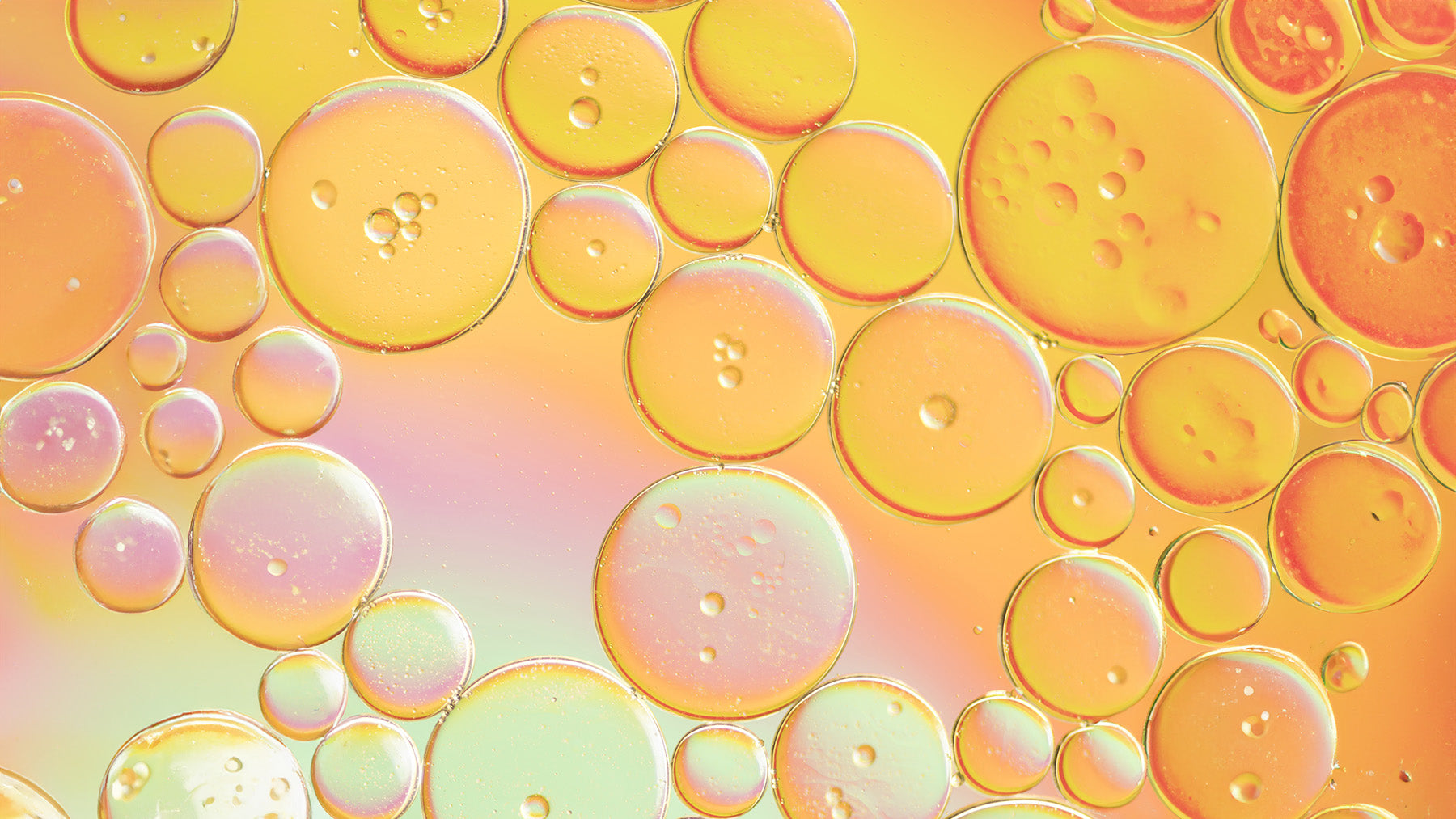 Why Antioxidants Matter: Doctors #1 Skincare Tip for Anti-Aging